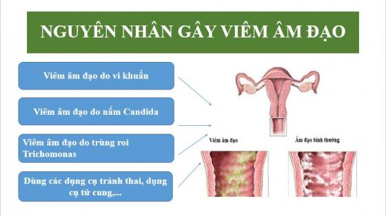 viem-am-dao.jpg