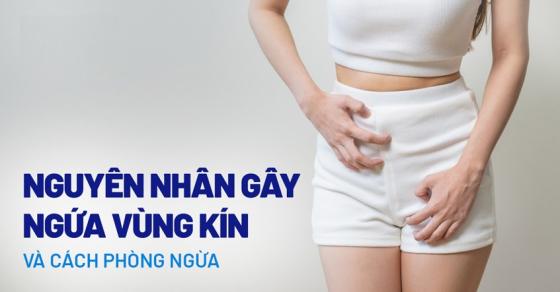 nguyen-nhan-gay-ngua-vung-kin.jpg