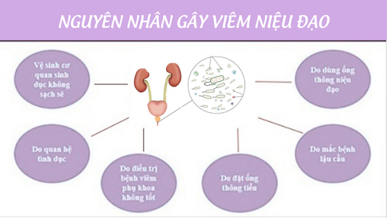 phong-kham-binh-duong (29).png